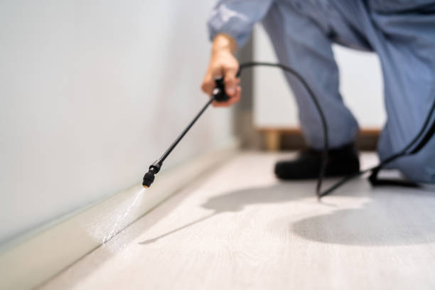 Licensed Mosquito Control service in Fairview Heights, IL - Show Me Pest Control