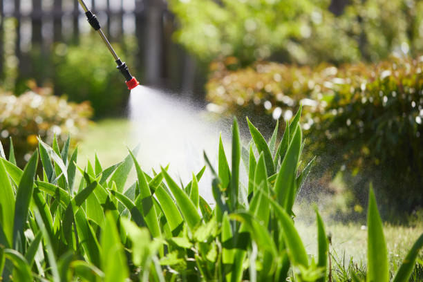 24/7 Emergency Mosquito Control experts in Fairview Heights, IL