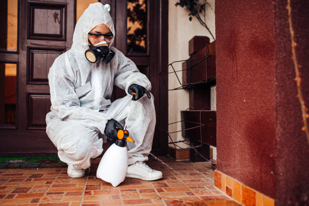 Reliable Mosquito Control contractor in Fairview Heights, IL by Show Me Pest Control